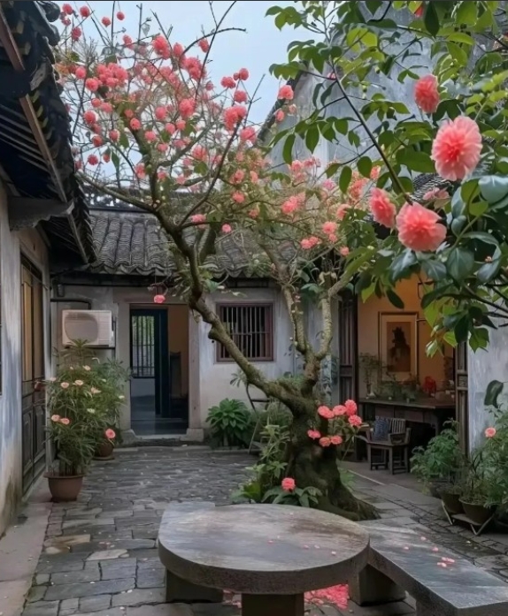 我一个前同事，比我大6岁，在公司知性优雅，是个热情助人的好大姐，在家是公婆眼里的