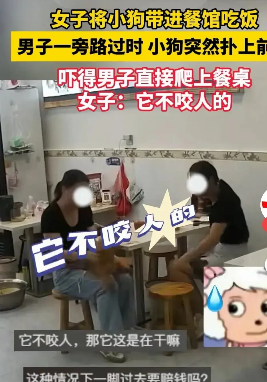 广东，发生了一件哭笑不得的事，一男子到饭店吃饭，旁边坐着两名女子带着一条狗子也在