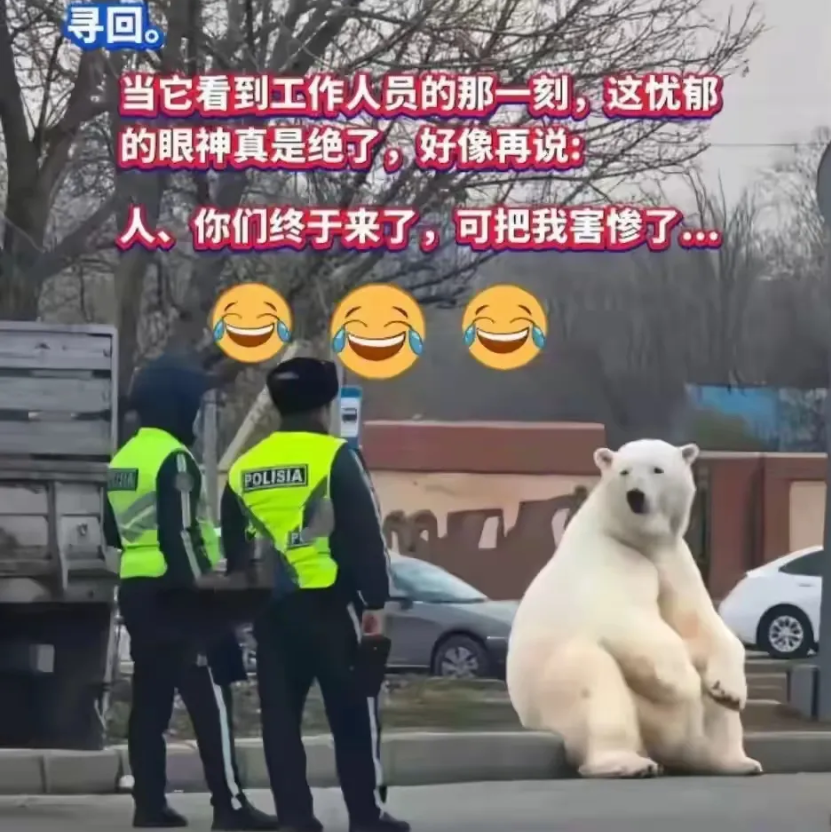 家人们谁懂啊！哈萨克斯坦有个动物园，在运输北极熊的时候居然把它落下了。结果这只北