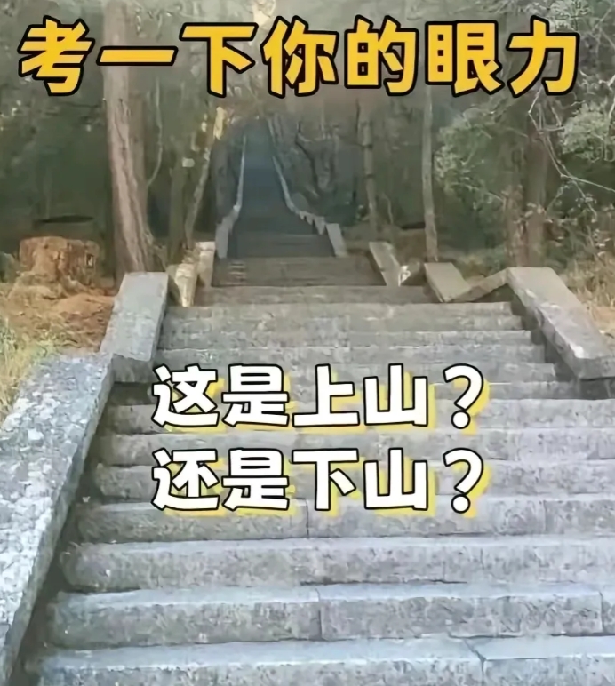 这究竟是上山还是下山？本人眼拙，研究了老半天都辨别不出来！哪位眼尖帮忙看看吧！