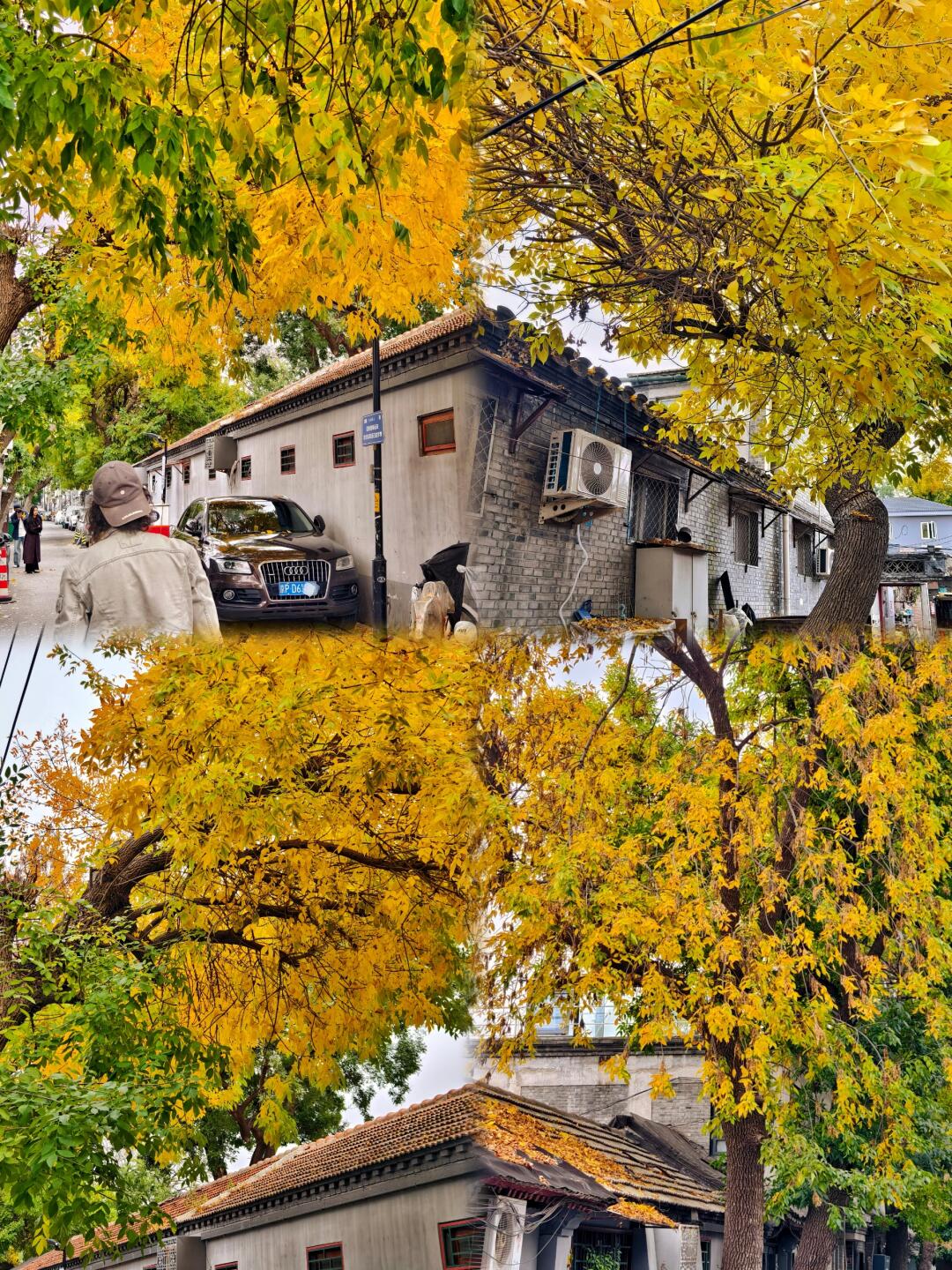 东四暴走8小时，总结1小时可看完的胡同秋景