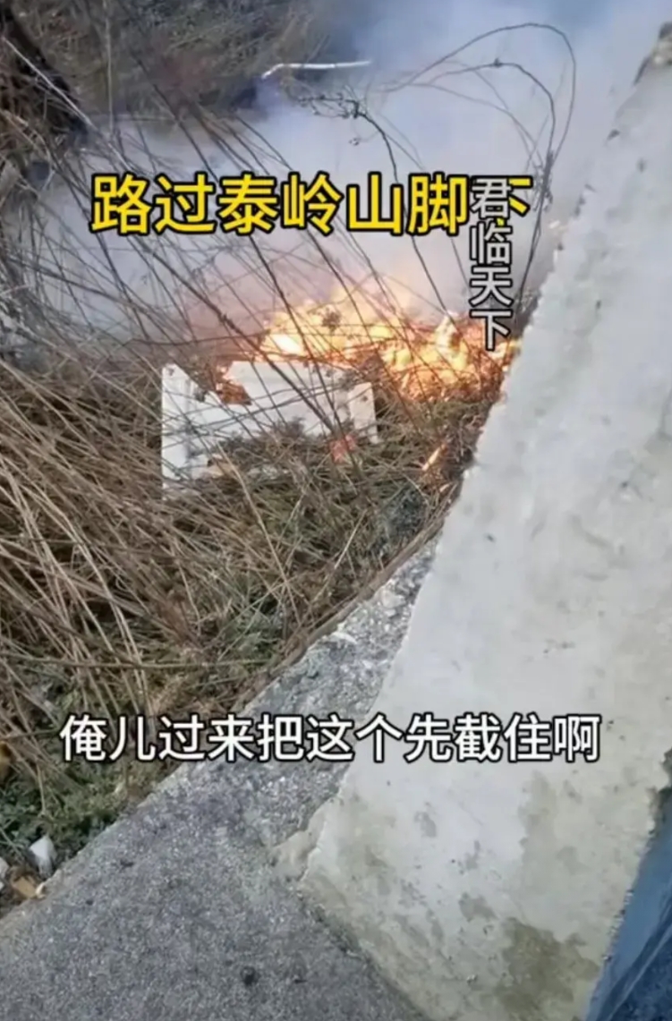 2025年1月13号，有网友发布，秦岭的某路段，有游客发现了路边的草丛中，出现了