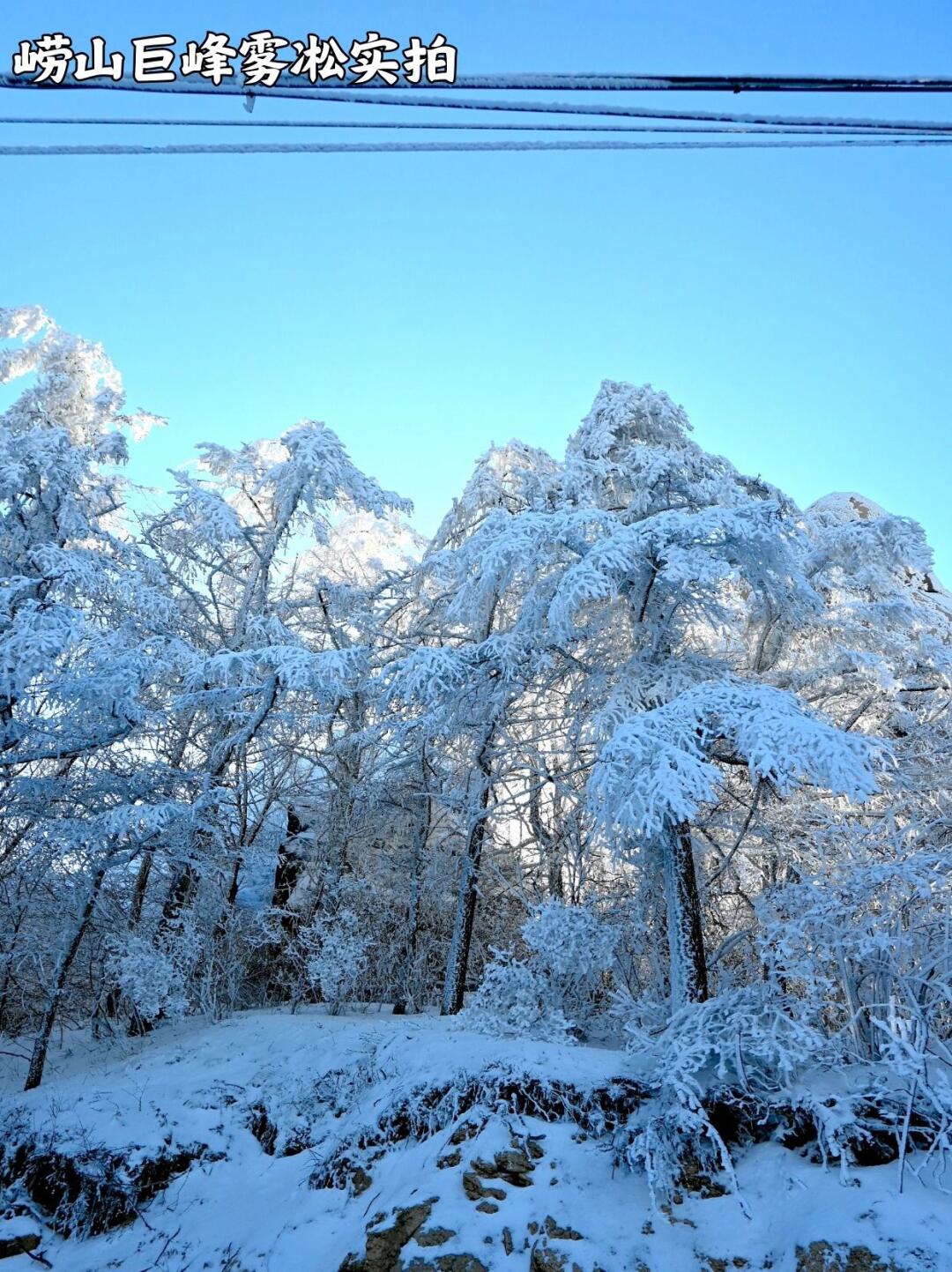 我期待的不是雪 而是有你的冬天