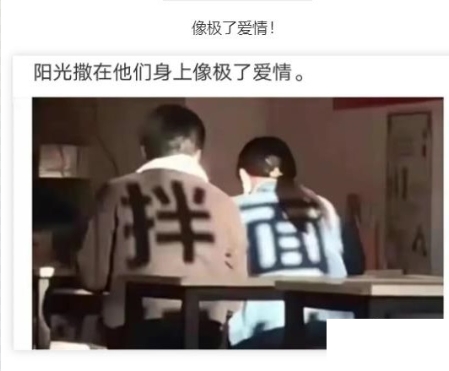 像极了爱情