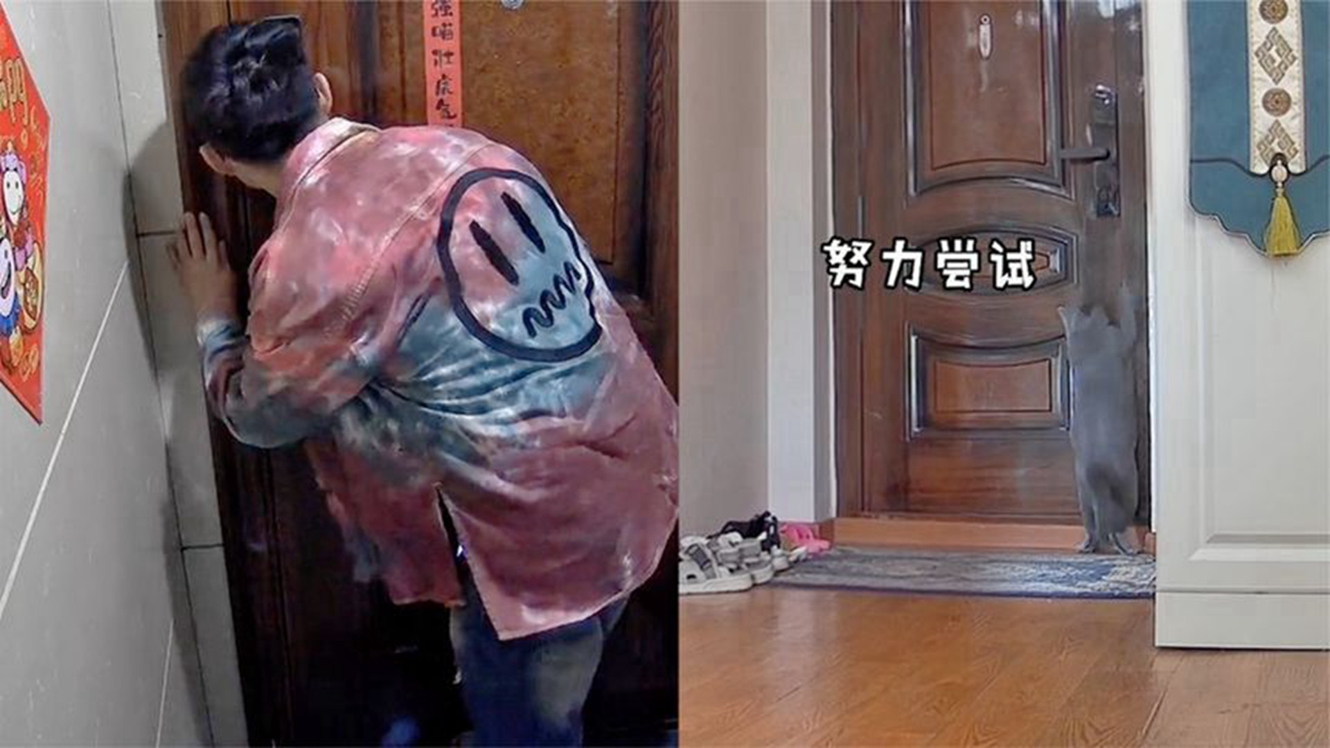 密码锁没电铲屎官指挥猫咪开门，“人猫合一”上演开锁大戏