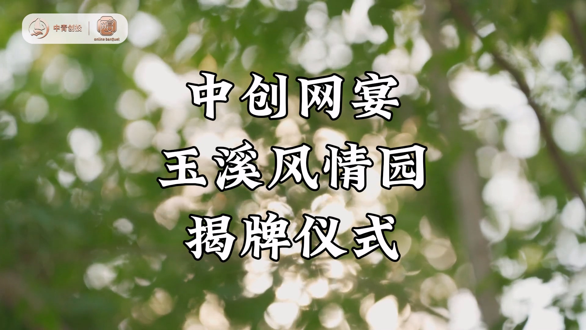 中创网宴——玉溪风情园揭牌仪式