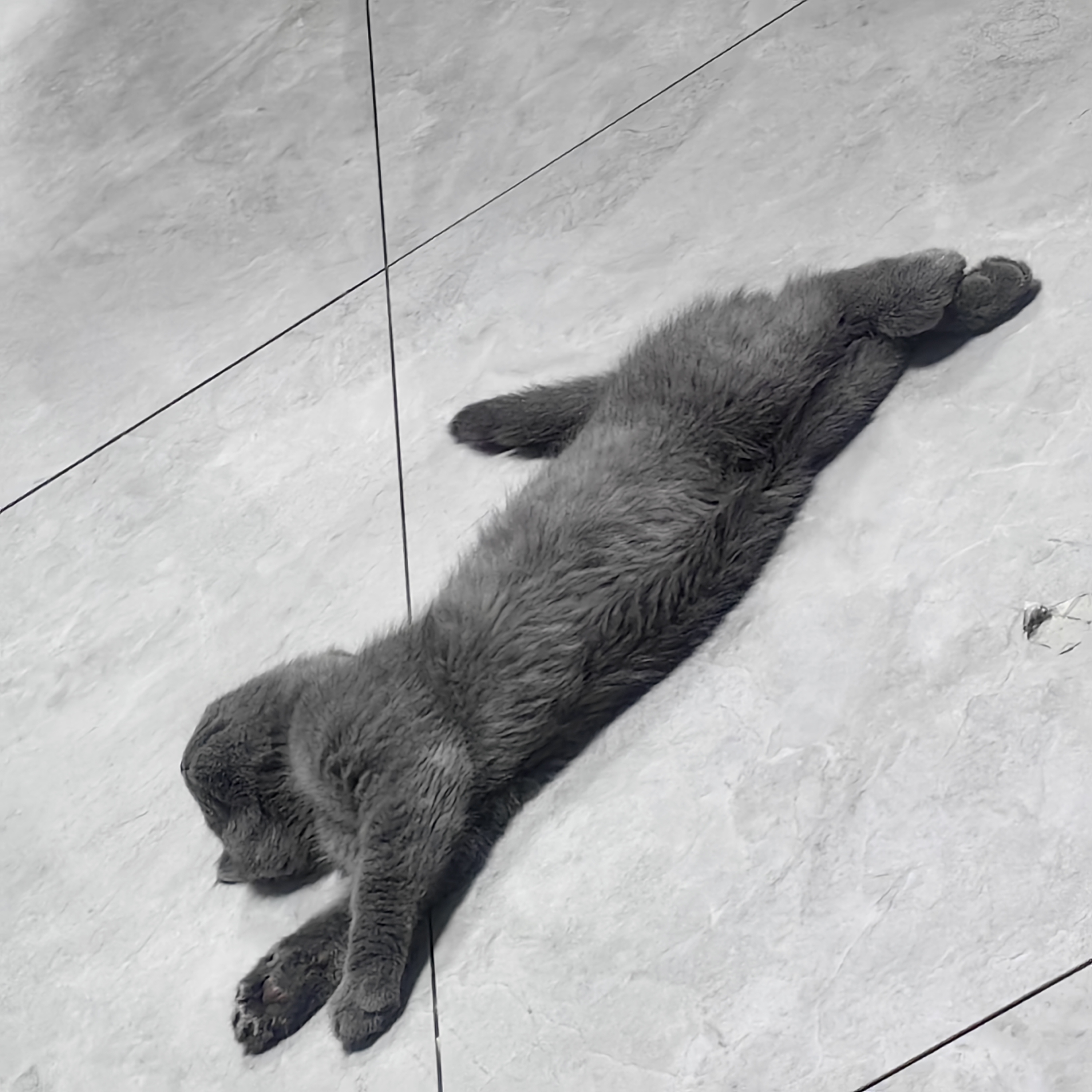 什么姿势都能睡