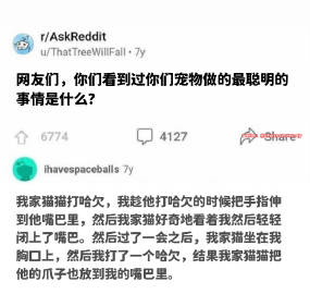 是学会反整蛊的聪明小猫诶！