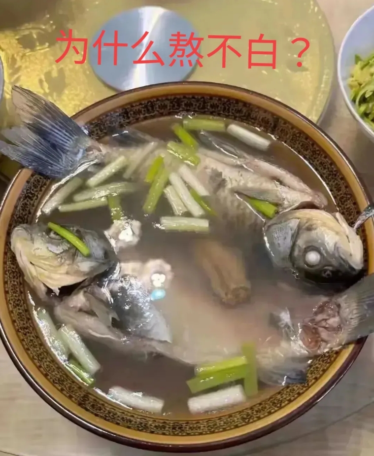 这汤为什么熬不白？鱼的问题，还是人的问题？
