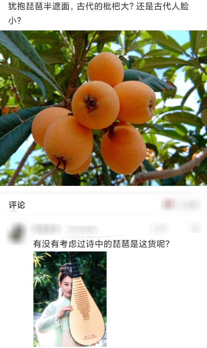 犹抱琵琶半遮面，古代的枇杷大还是人脸小？