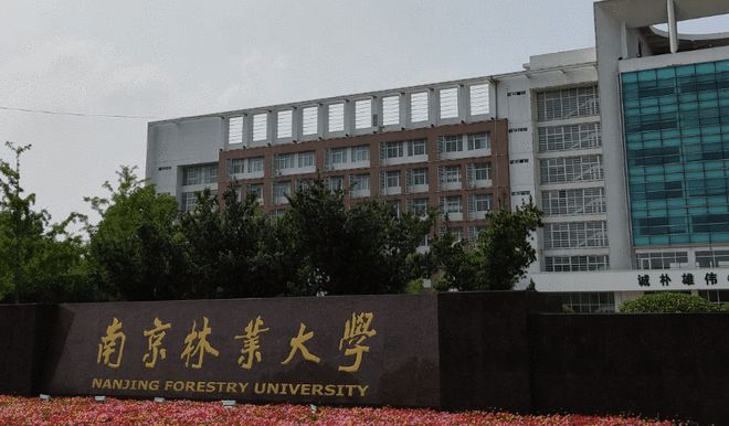 高校 “非升即走” 之痛：南京林业大学副教授自杀背后的学术困局