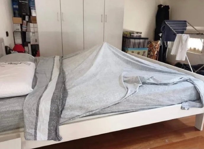 喵：看朕为你撑起的一片天