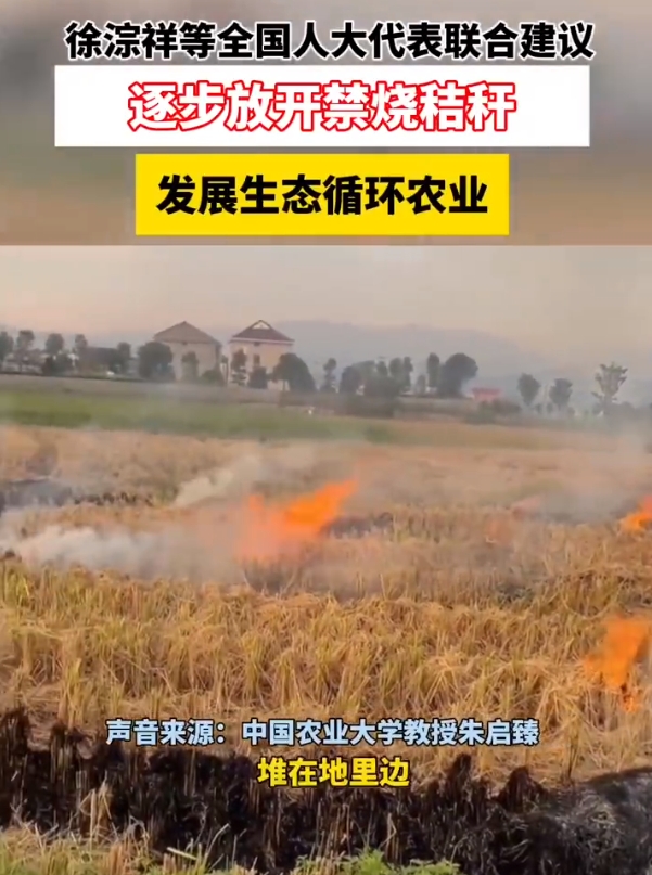 徐淙祥等人大代表建议逐步放开禁烧秸秆，农作物病菌、虫卵得不到焚烧，造成部分农田病