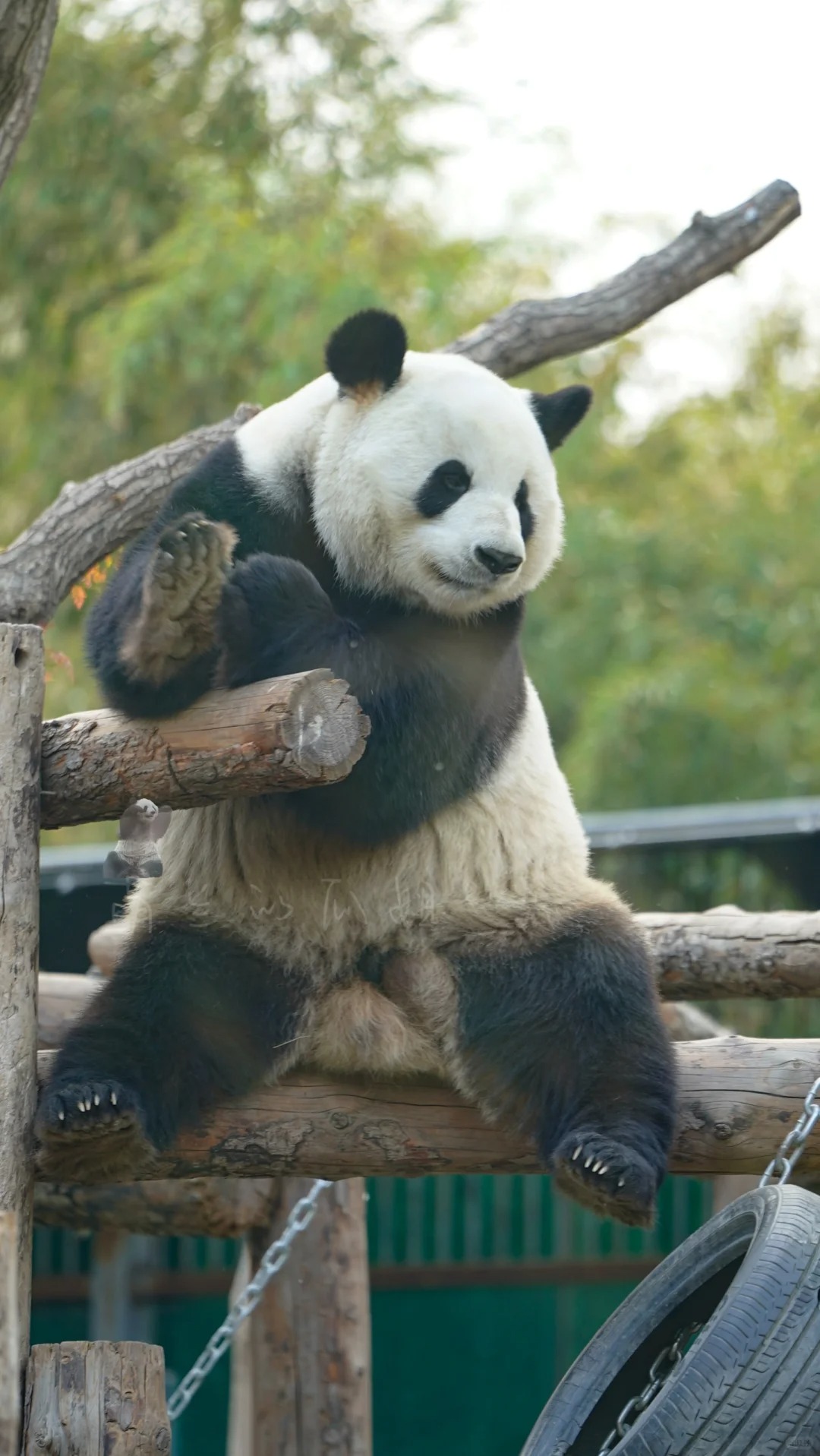 萌科：继续吵，窝给你们鼓掌