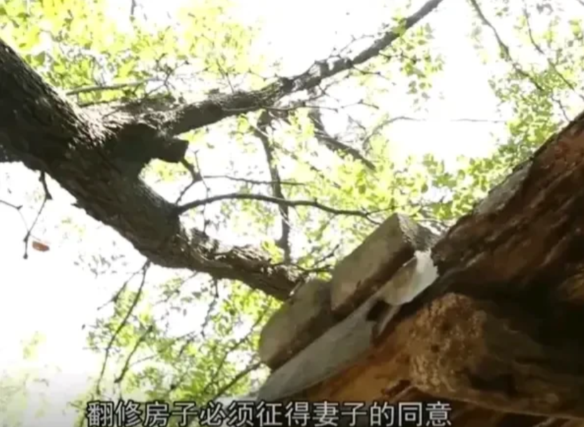 河南灵宝，一七旬老太坚决要跟老伴离婚，不想再跟他继续生活下去。但老伴却不明白妻子