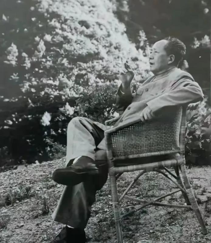 在历史的影像长卷中，有一张照片格外夺目。照片里，晚年的毛主席静静坐在藤椅上，虽只