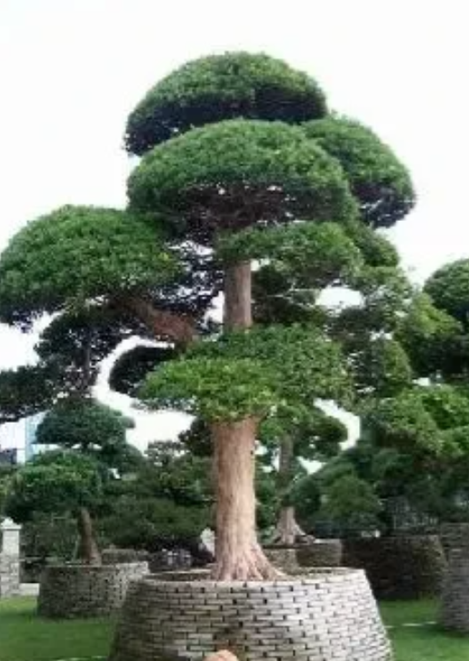 广东，男子做生意亏了本，还欠下一大笔外债。为了偿还债务，男子开始变卖家产。其中2