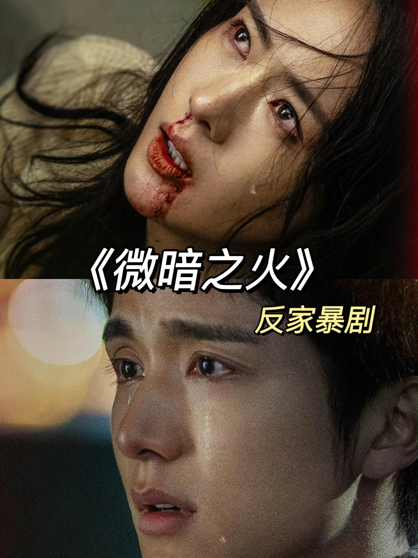 微暗之火：所有谎言都在真情流露时逐渐破碎
