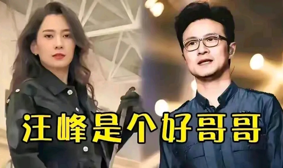 汪峰真是个牛人，不愧是写歌的，简直就是个语言的艺术家。

他形容国际章时是这样说