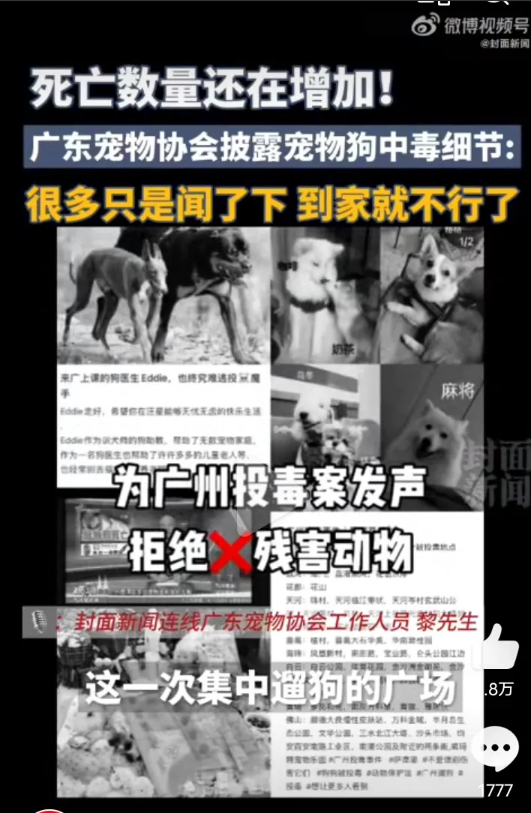 太吓人了，
故意在遛狗的公共路上投毒，毒性极大，狗闻了，到家就不行了。事情发生在