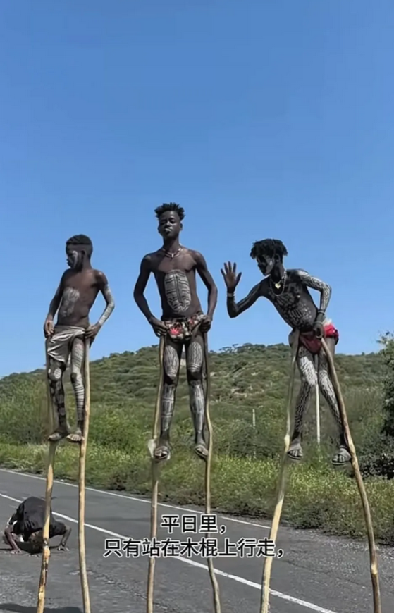 你听说过这个在木棍上生存的部落吗？据说一生不能着地，孩子从学走路开始，就要在木棍