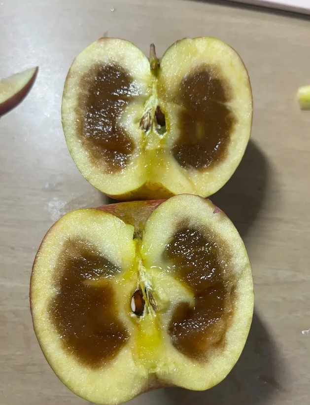 这是一个朋友来我家给带的苹果，他说是冰糖心的，非常好吃，等他走了以后，我拿一个切