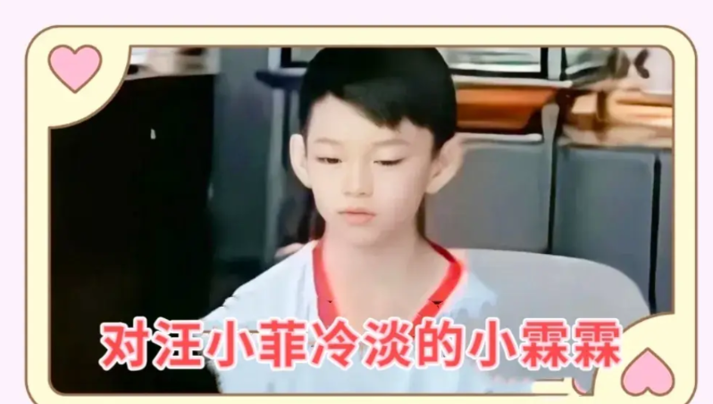 小霖霖对汪小菲冷淡，你怎么看？

        汪小菲透露，二汪中的儿子小霖霖