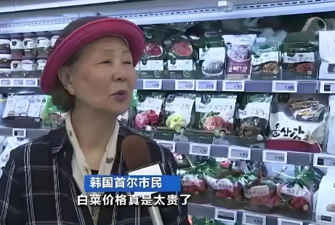 “中国要被我们拖垮了！”2024年，韩国上千人拒绝吃从中国进口的中国白菜，本想给