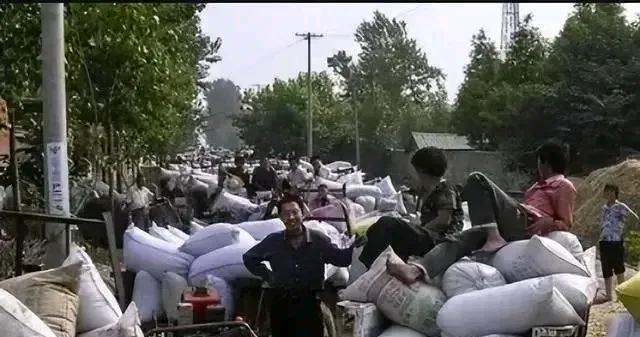 2006年，农业税正式宣布被取消，这无疑是社会发展进程中的一个标志性事件。但又有