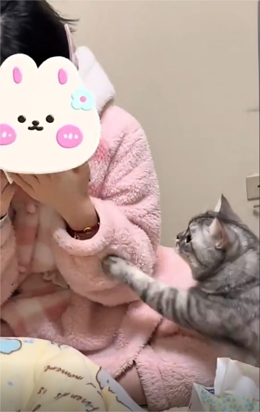 猫：小公主不要哭，我在