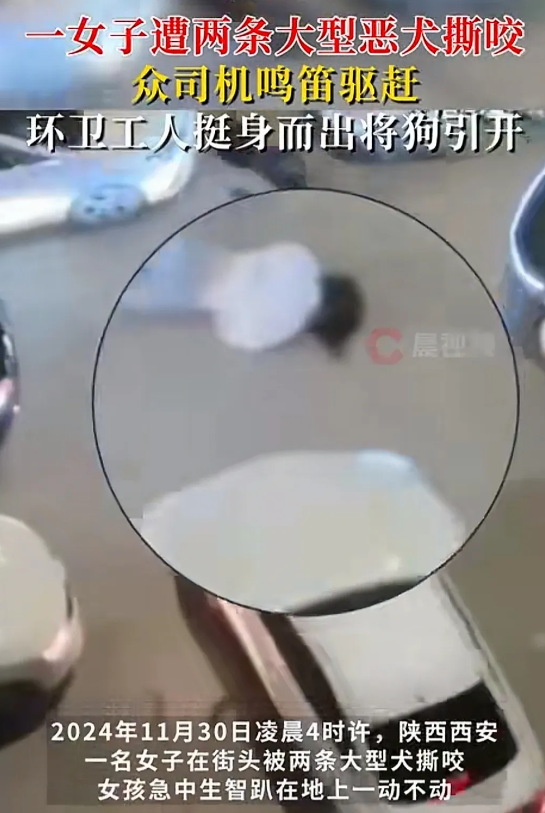 太凶了！陕西西安，一女子凌晨四点在街头遭遇两条大黑恶狗撕咬，狗太凶了，路过市民都