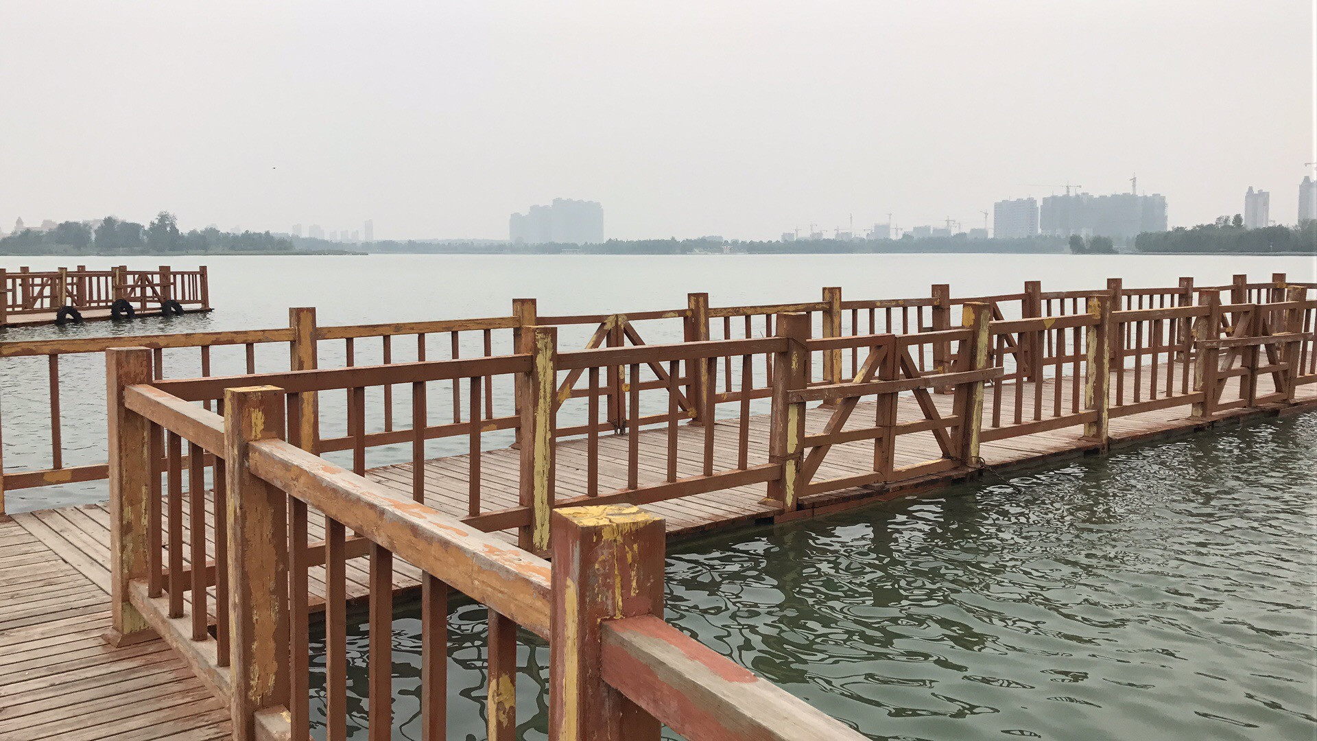 巴纳姆效应：人贵自知而难自知