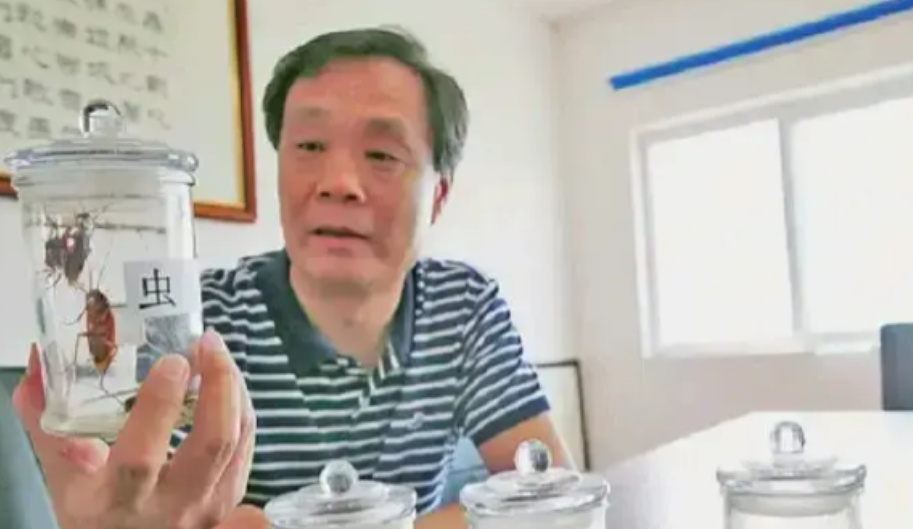 靠蟑螂发财？山东一大哥辞去“铁饭碗”，回家每天养蟑螂，而成年蟑螂一天就能吃40吨