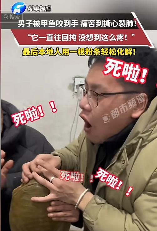 近日，一男子被甲鱼咬住手指，痛的惨嚎：“快死了！”可万万没想到，朋友淡定的抽出一