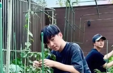 郝蕾的儿子看起来好成熟，郝蕾也真是的，两个一模一样，给红一个又咋的嘛？