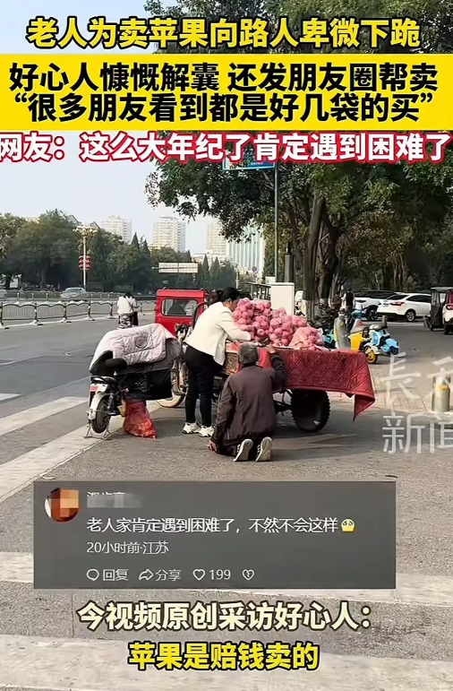 太心酸了！2024年11月5日，河南商丘，一位白发苍苍的大爷，为卖苹果向路人卑微