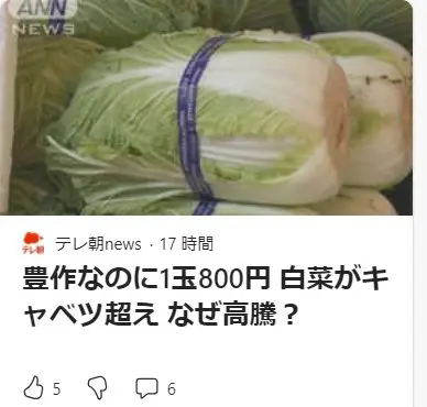 日本蔬菜是金子做的吗？