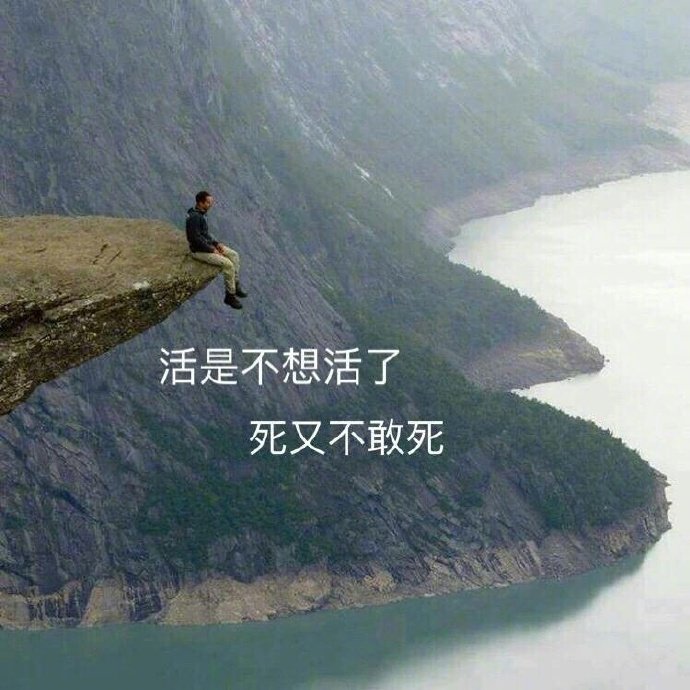 看到最后一句瞬间笑喷了