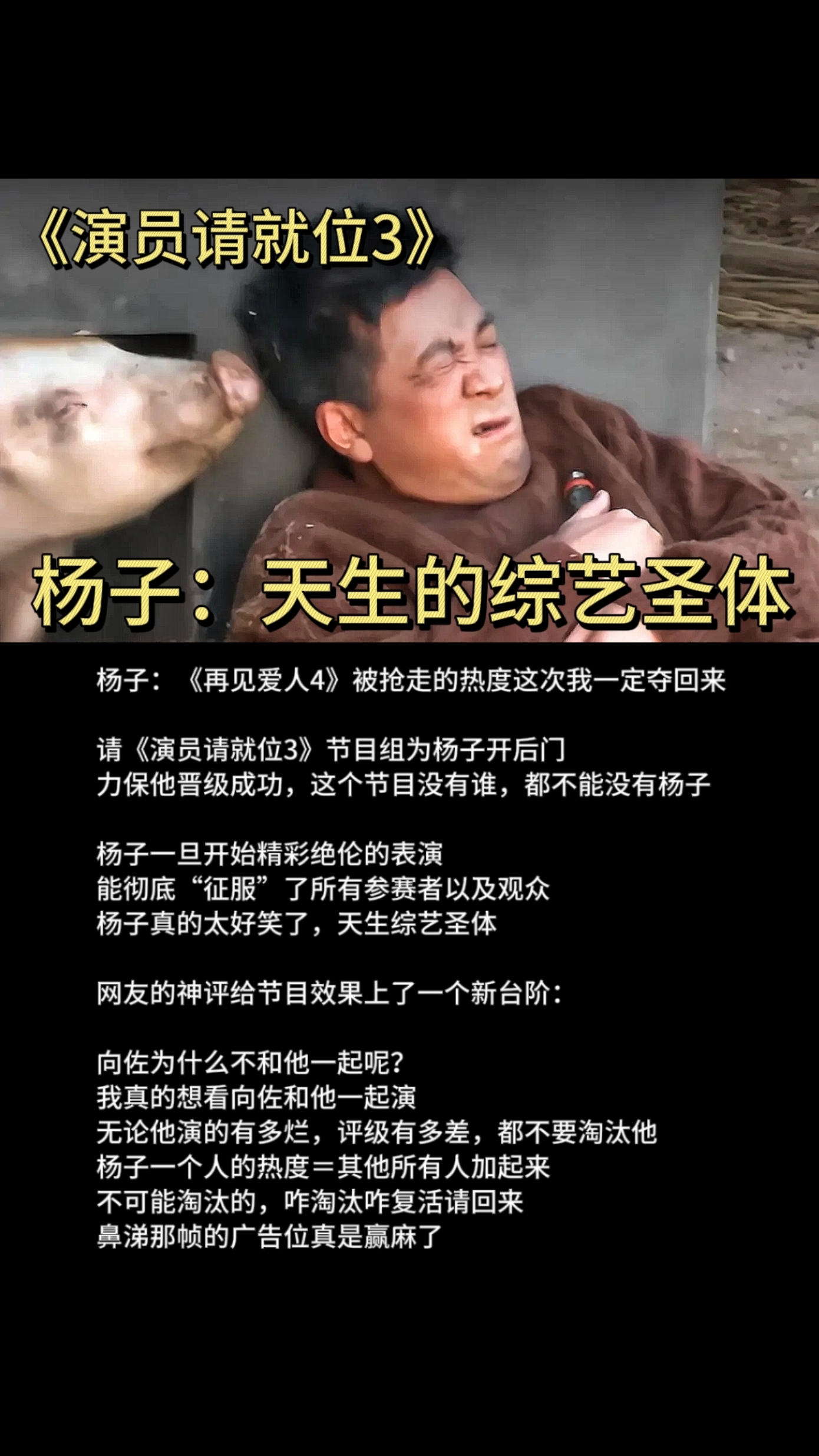 杨子豪言：重夺失去的一切