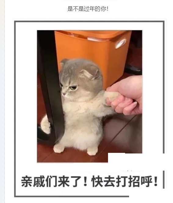 是不是过年的你
