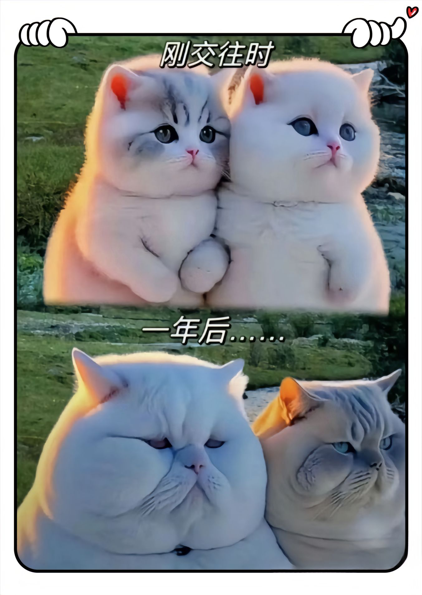 交往中最大的谎言:我们一起变瘦