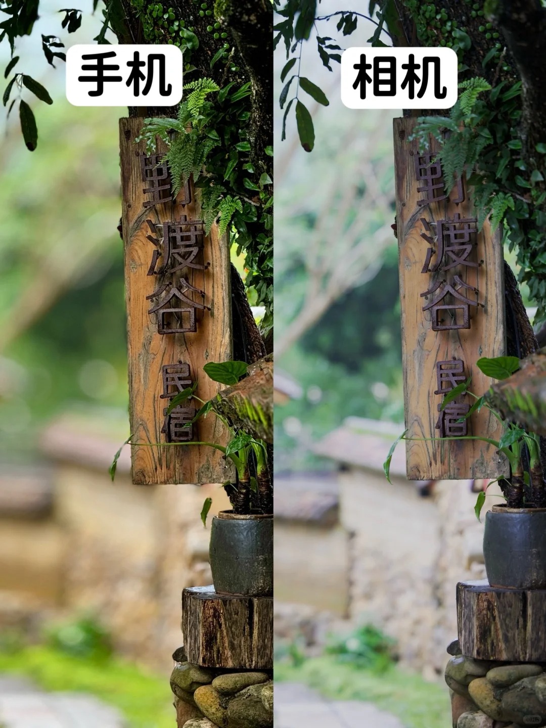 为啥手机拍照这么强了，还有那么多人用相机？
【对比器材】⚙️：
📱iPhone