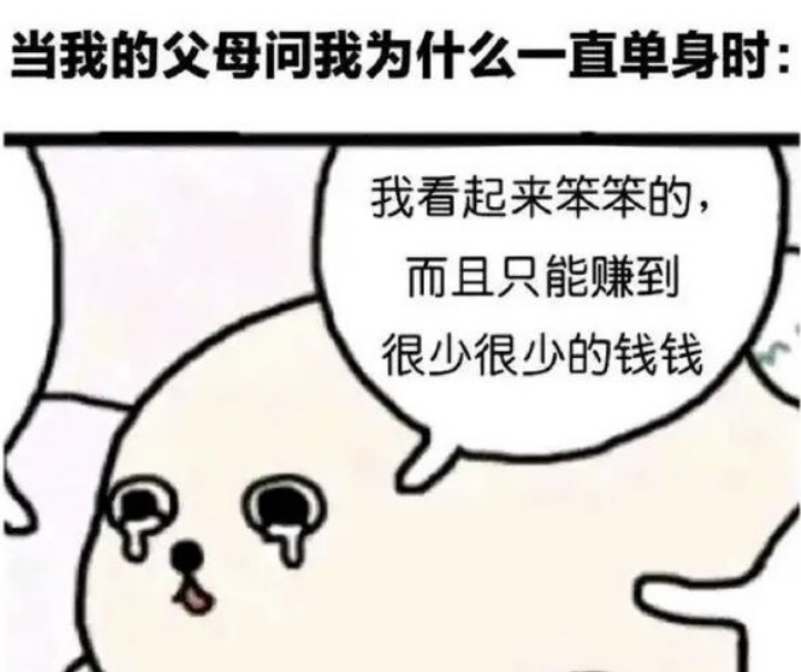 当我的父母问我为什么一直单身