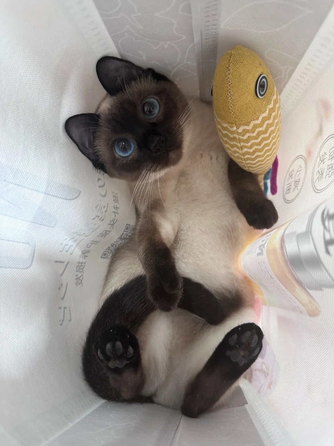 谁还不是个宝宝