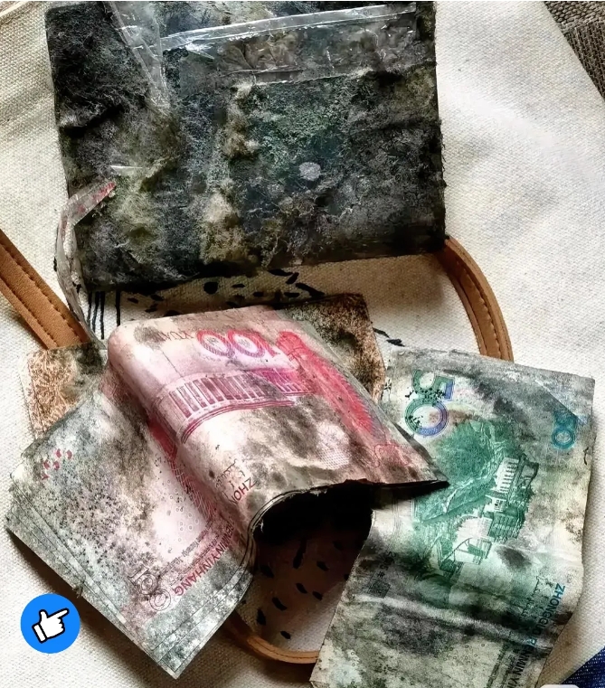 天哪，万万没想到，今天收拾家里地下室，阴暗角落里发现一个皮夹子，竟然里面还藏着百