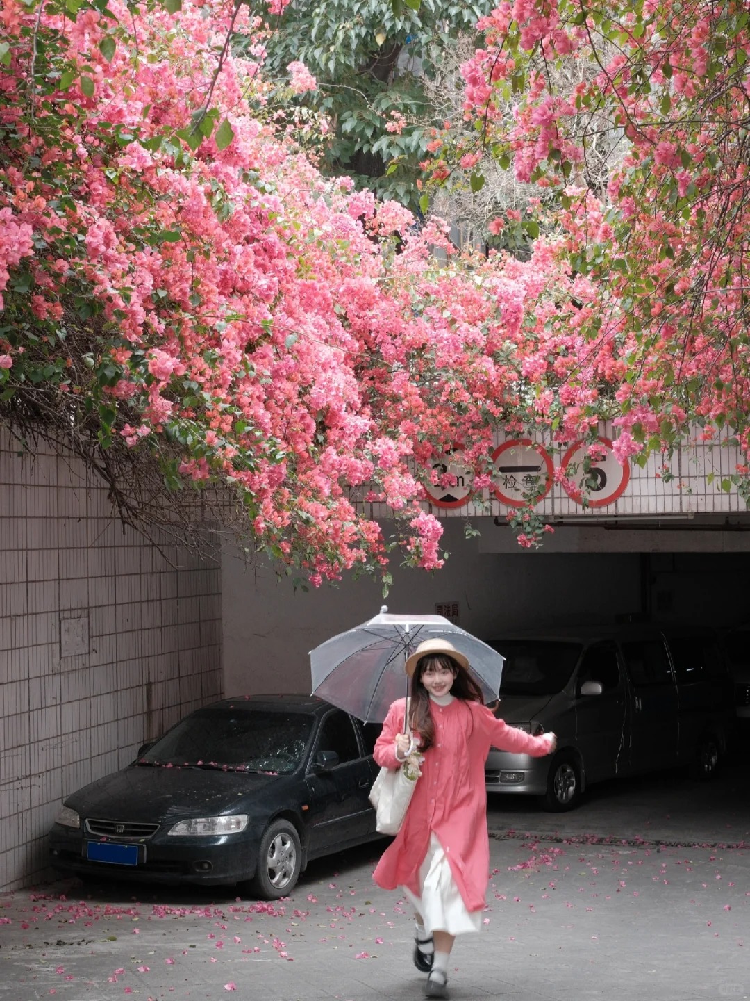 一个停车场而已，至于美成这样吗😭
广州你你不要太浪漫了，连停车场都种满了三角梅