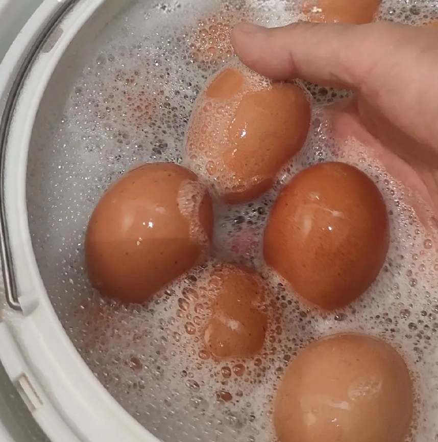 很生气啊！[流泪]你们帮我评评理，今天去同事家里吃饭，她要煮鸡蛋。直接把冰箱里的