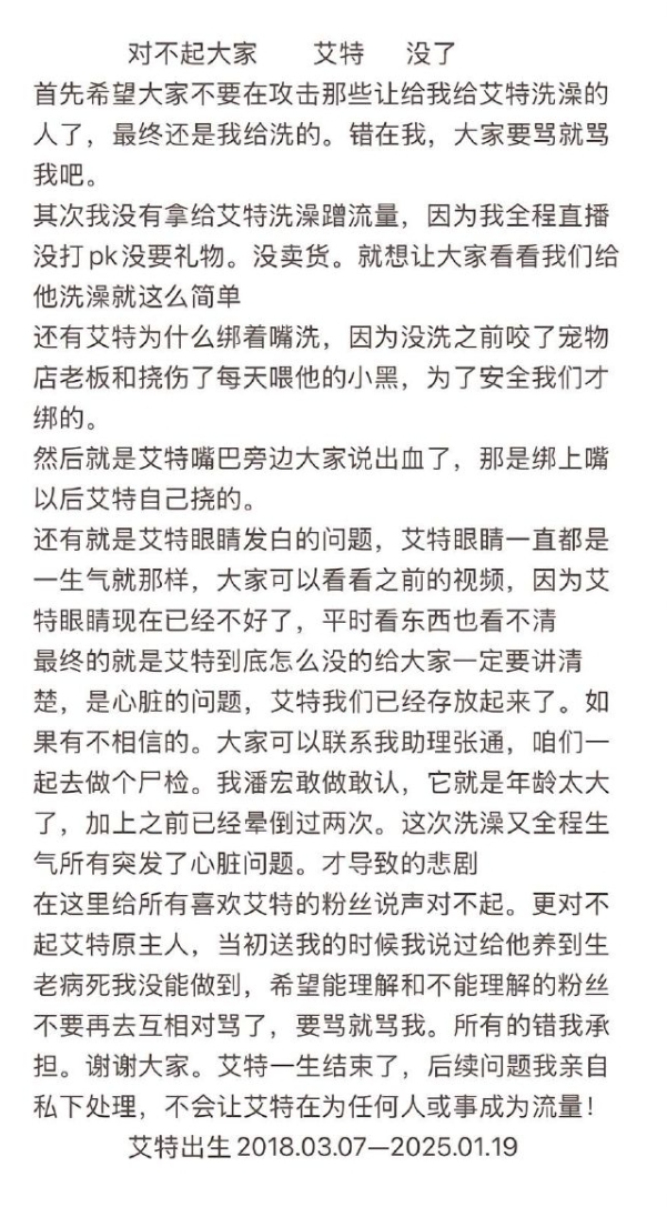 网红小狗艾特离世事件：潘宏与主人先后发声