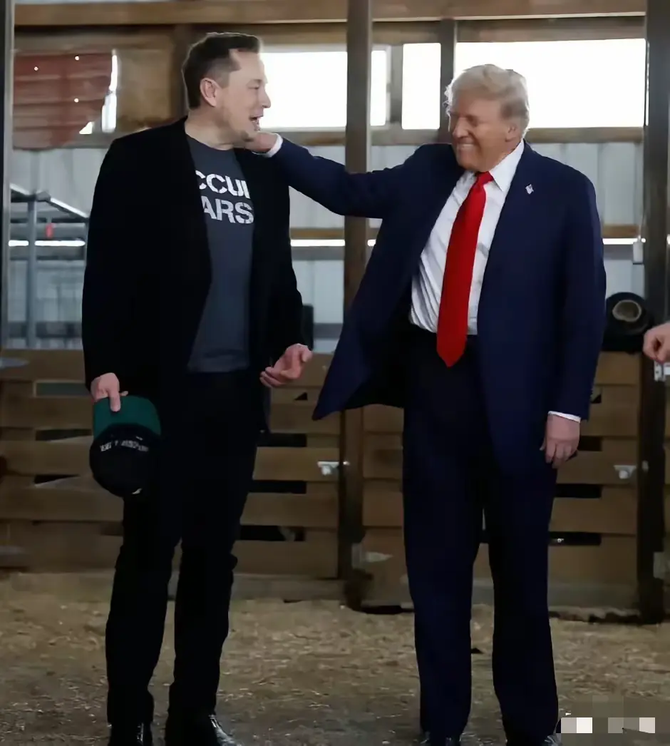 马斯克是聪明人，他知道特朗普胜局已定