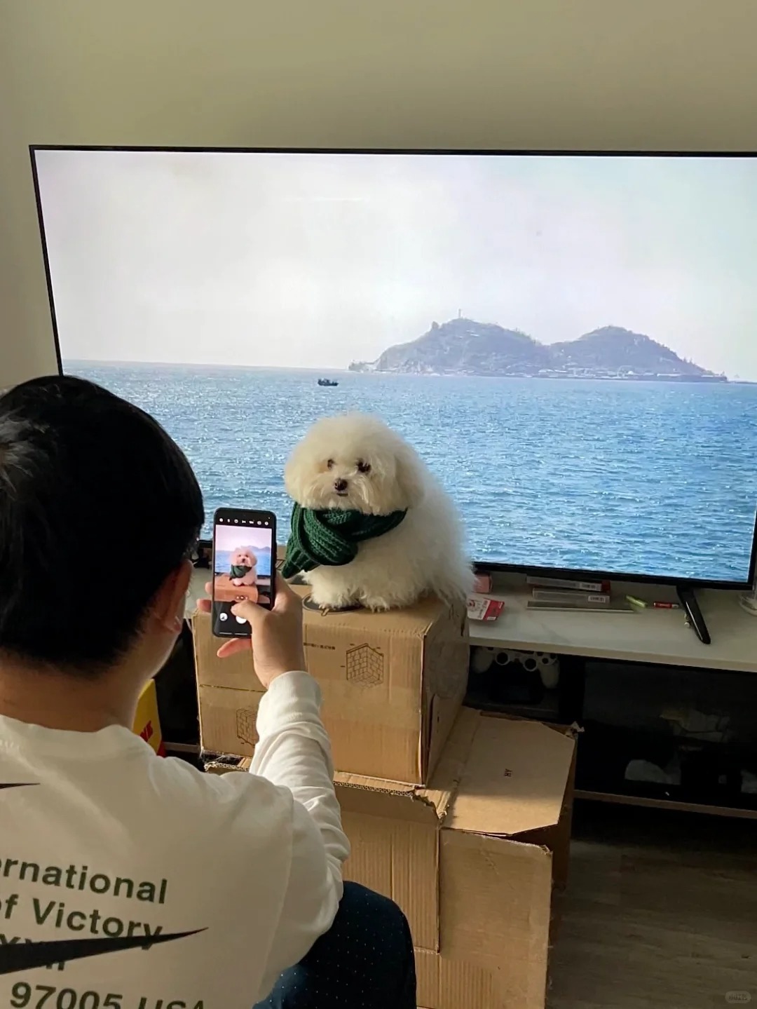 宝宝我看到大海啦
馒头：“麻麻你汁儿道么？我换主人就像换衣服一样简单…”
我：“